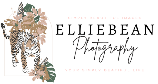 ELLIEBEAN PHOTOGRAPHY